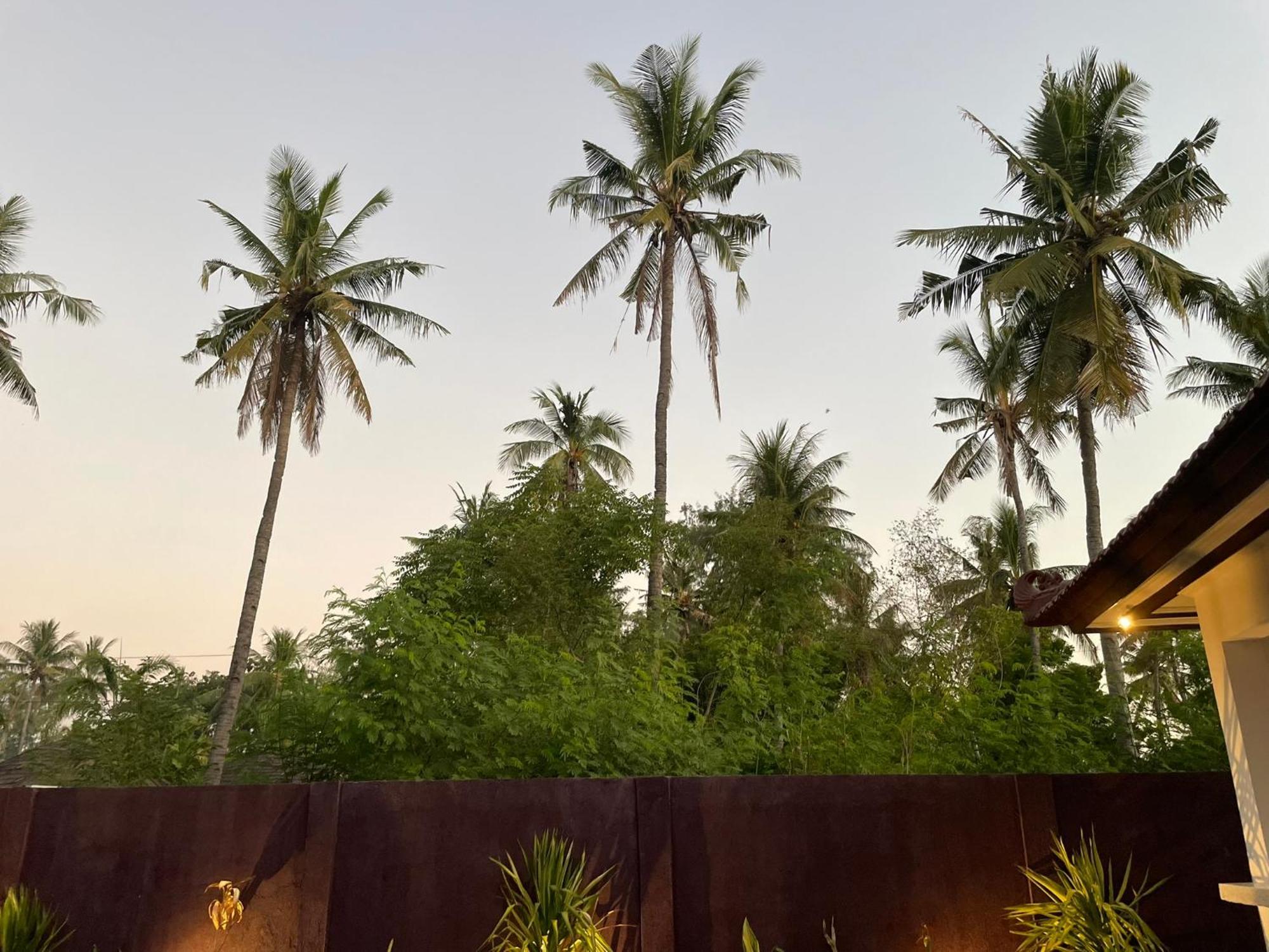 Relax Villas กิลิไอร์ ภายนอก รูปภาพ